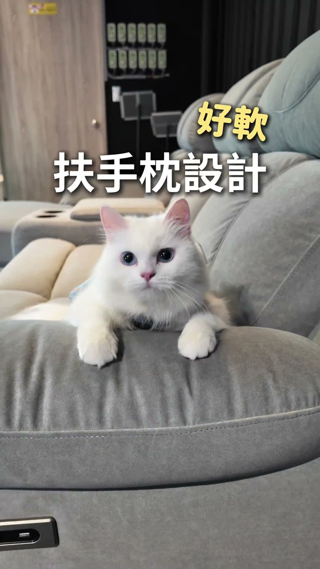 你說你希望沙發能有:電動座位、貴妃座、收納功能、置杯架、表布耐刮磨
